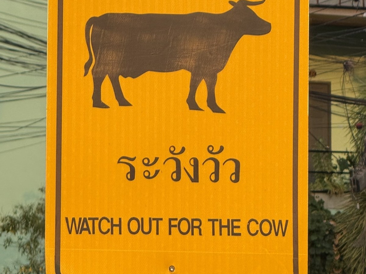 Cultural Orientation: Language&nbsp;Barriers