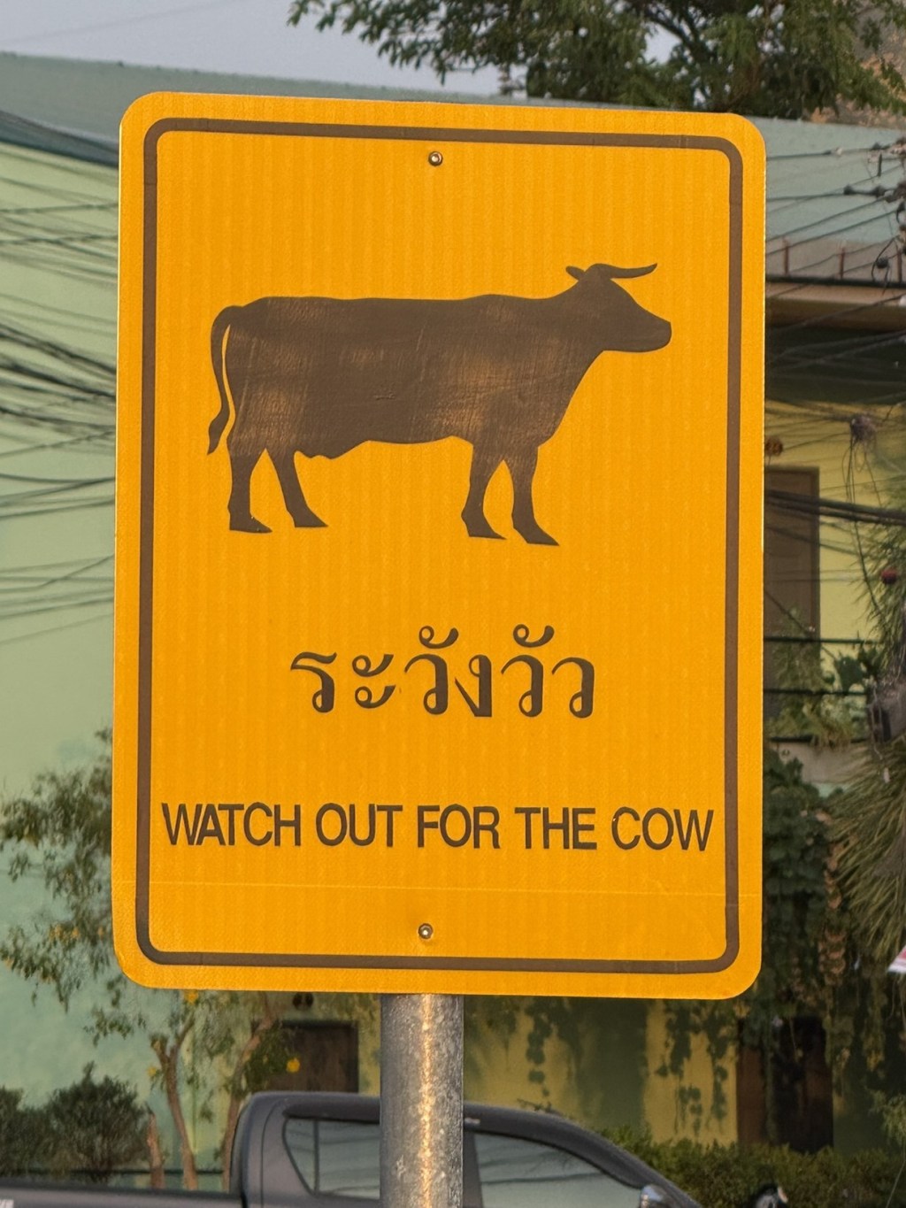 Cultural Orientation: Language&nbsp;Barriers