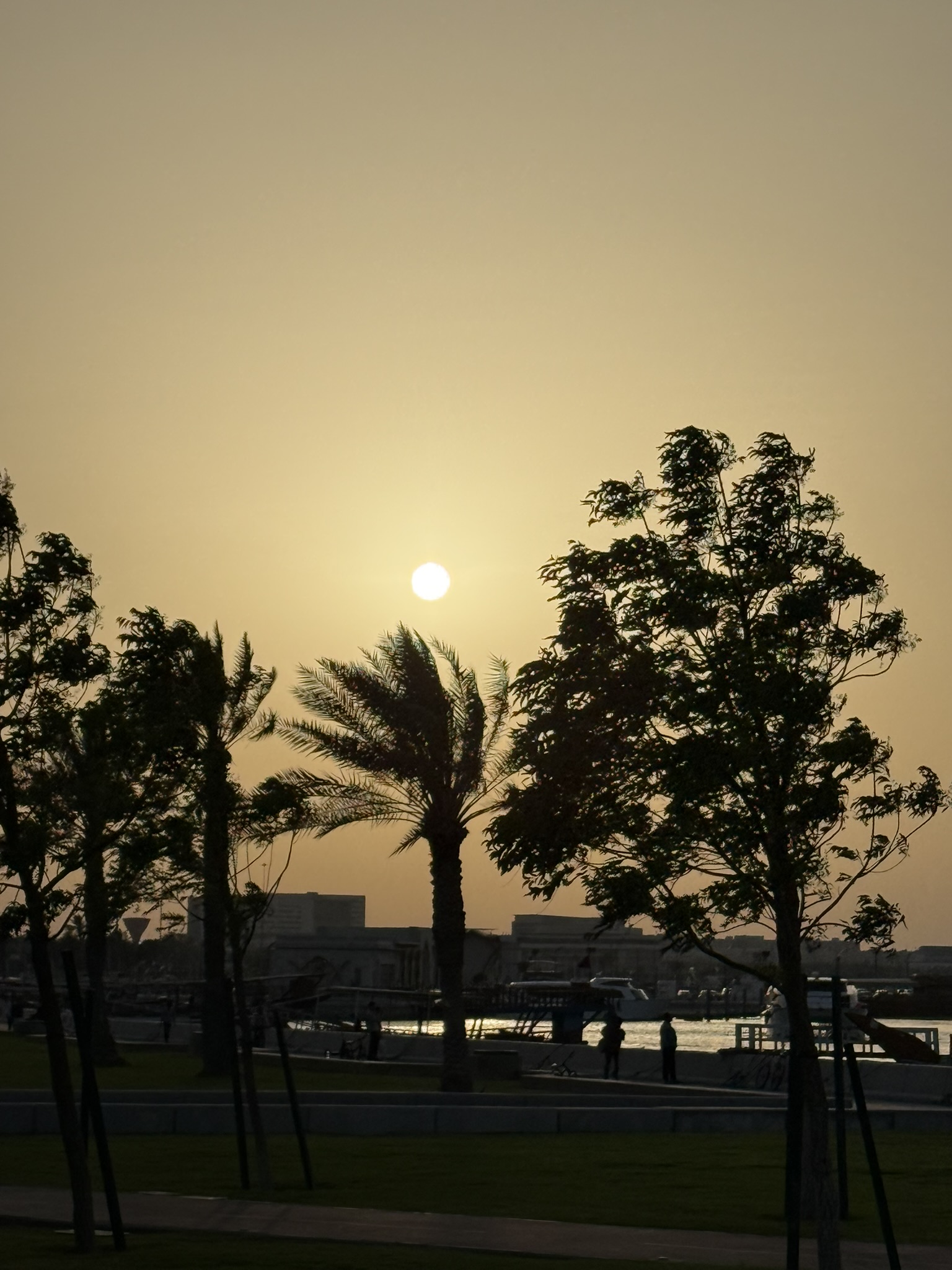 A Moment of Reflection